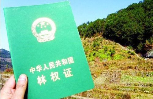 自留山证为什么没有发到村民手里？山林权证发放单位-图1