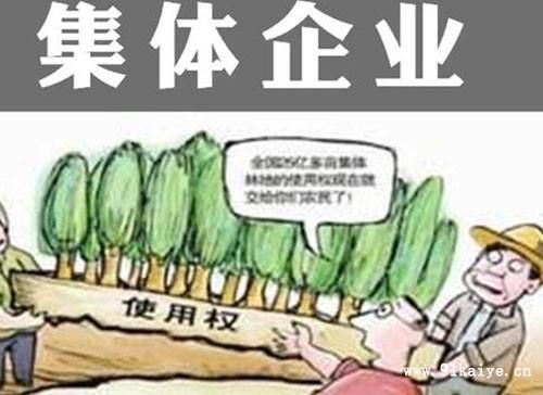 请问企业的性质有哪几种？集体所有制单位性质-图2