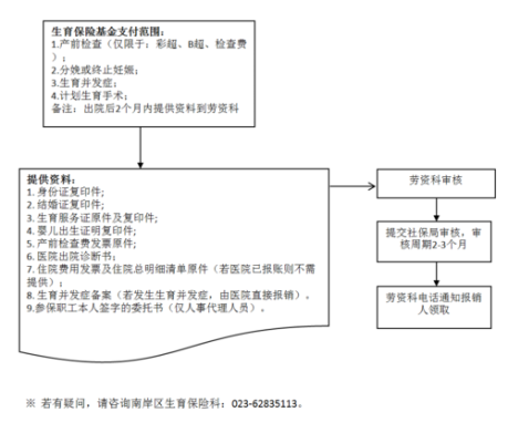 职工生育保险怎么提取？单位社保生育险怎么报-图2