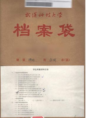 2015年毕业，后来进了一家国企，然后档案一直放在人力资源社会保障管？研究生报道档案在单位-图1