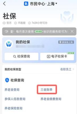 支付宝怎么查询社保单位缴费记录？怎么查社保卡的单位-图3