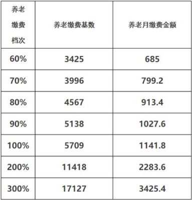 长春市2015年灵活就业人员养老保险缴费基数是多少吗？长春市事业单位工资标准2015年-图1