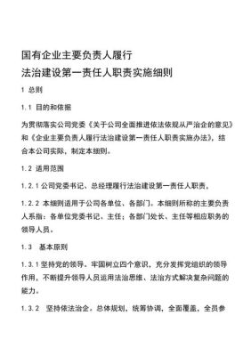 企业法治建设第一责任人是？单位法制建设-图1