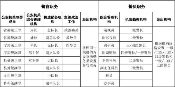 行政职务怎么填写？单位行政职务-图1