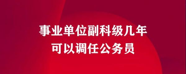 正副科是什么职称？事业单位领导正处-图2