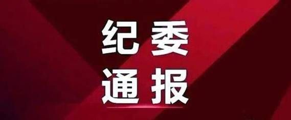 单位私设小金库,责任人被纪委处分,检察院还能处理吗？事业单位财务检查通报-图2