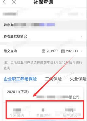 养老金怎么查询单位和个人的缴费金额？单位缴纳养老保险查询-图3
