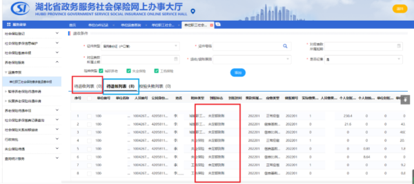 社保显示在职停保是什么意思？单位自己停保-图1