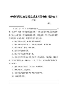 农民工要提供什么材料劳动监察大队才能立案？单位员工被打的报案材料-图1