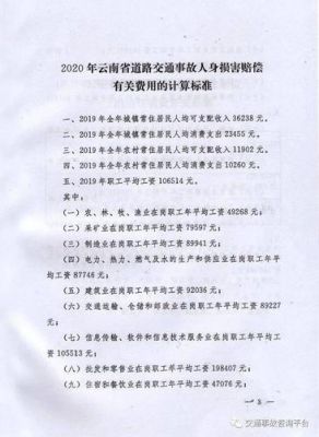 撞死人赔偿标准2022？单位机动车撞死人赔偿标准-图2