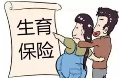 女方无工作，男方有生育保险，如何报销？无单位怎么报生育险-图3