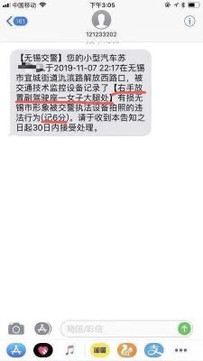 为什么收到违法短信十天查不到违法记录？单位会查违法记录吗-图3