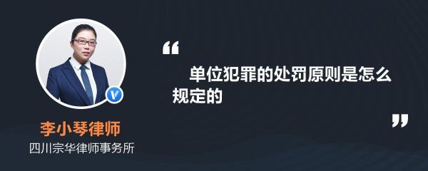 一般安全事故主要负责人处罚？单位犯罪处罚责任人-图3