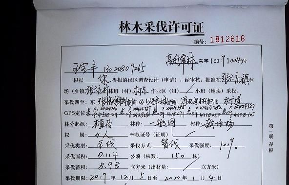 采伐证由买方办理还是卖方办理？办砍伐证找哪个单位-图2