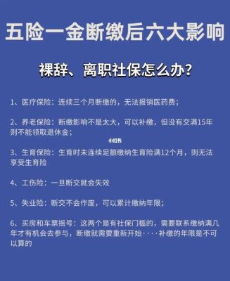 入职三个月了，公司一直没有给我买社保怎么办？用人单位原因 三个月未支付-图3