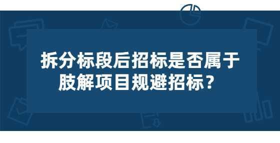 一个投标单位可以投两个标段吗？同一单位能中几个标段吗-图2