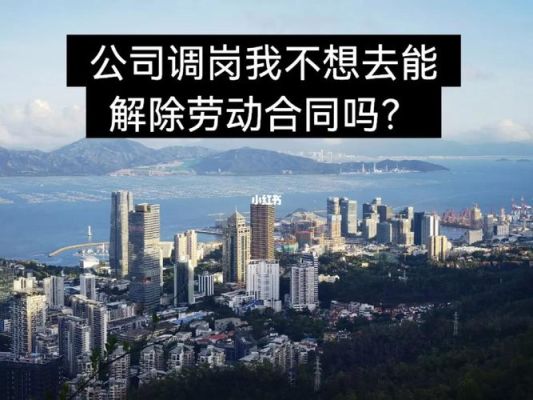 如果劳动合同没到期公司要辞退我不同意公司要给调岗我不同意，应该怎么办？不愿意调整岗位用人单位解雇我-图2