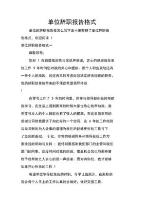 辞去职务但不辞职的报告怎么写？辞去单位部门领导职务的怎么写-图3