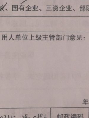 你对企业各部门负责人有什么意见和建议？用人单位主管意见怎么写-图3