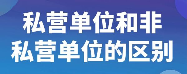 私营单位包括哪些？非私营单位是指什么-图1