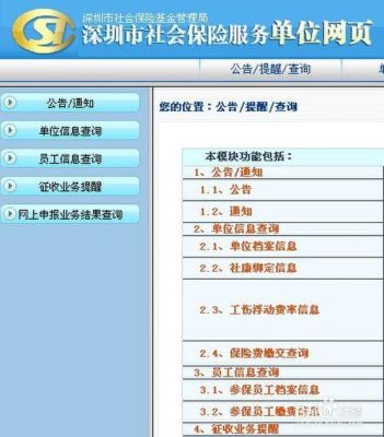 深圳是新办企业社保怎么交,具体流程是什么,需要什么资料？深圳用人单位需要买什么保险-图2