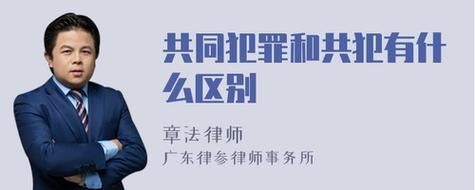 单位和单位可以构成共犯吗？单位能否成为从犯-图2