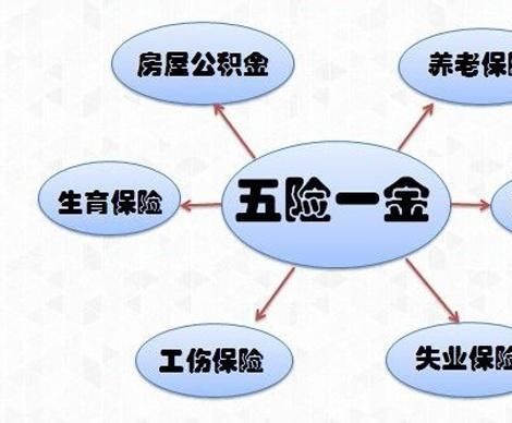 事业单位的合同工给交五险没有一金？合同工单位是否帮五险一金-图3