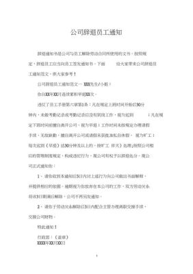 公司以绩效为由辞退要怎么回答？单位把我辞退了又不承认怎么办-图2