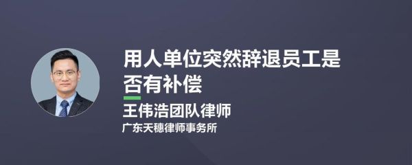 工作超过10年辞退员工补偿标准？在本单位工作10年被辞退-图2