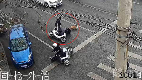 电动车逃逸怎么联系逃逸人？电动车撞人后逃逸什么单位管-图3