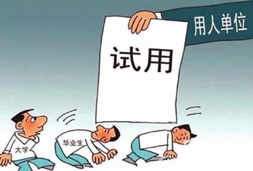 事业编试用期可以随便开除人吗？事业单位试用期一年违法-图2