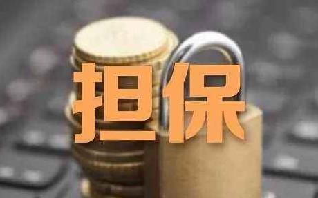 学校不能成为担保人？民办非学校要单位担保吗-图3