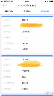 社保显示正常缴费但未到账？单位缴社保 但还没到账-图1