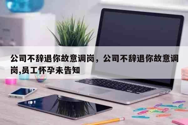 公司缩编被离职的最佳解决方法？单位内部调岗后辞职-图1