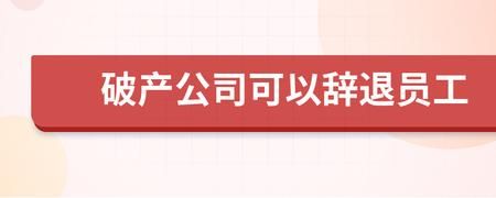 有什么办法让公司把我辞退吗？员工如何申请单位破产-图2