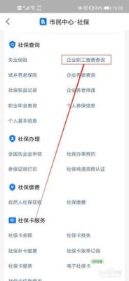 公司缴纳社保后手机上多久能看到？单位交社保多久可以查到-图2