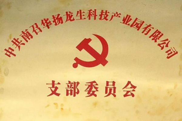 新成立的党支部,书记可以直接认命吗？事业单位支部副书记可以任命吗-图2