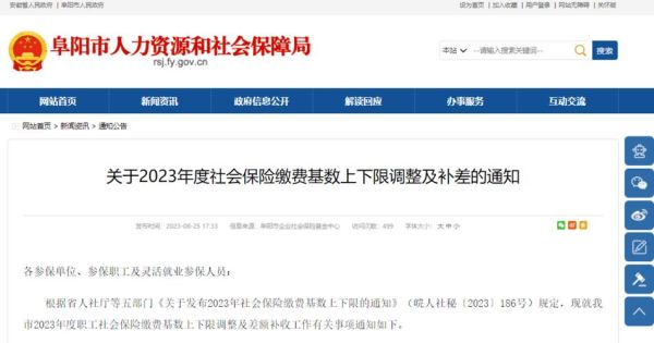 公司补交医疗保险怎么写？单位养老保险统一补交报告范文-图2