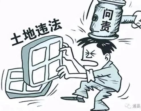 非法占用公司土地如何处理？单位非法侵占农用地-图1