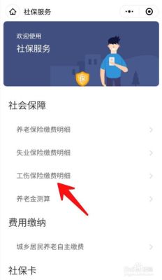 为什么我在网上查社保只有工伤险？单位给员工只交工伤保险-图2
