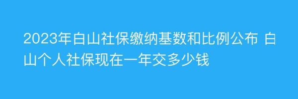 2023年社保一次性补缴五年新政策？单位社保补缴几年-图3