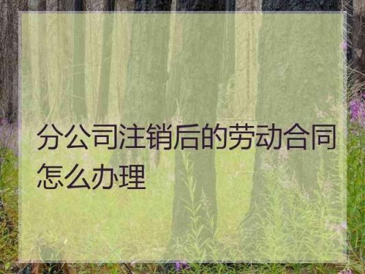 公司注销后怎么查询劳动合同？单位注销了劳动关系-图1