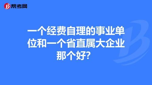 事业单位编制性质中的“经费自理”“财政拨款”“财政补贴”“企业化管理”什么意思？事业单位业务费标准-图2