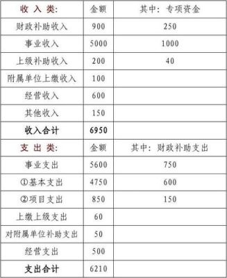 事业预算收入科目年末有无余额？事业单位预算可以有结余吗-图3