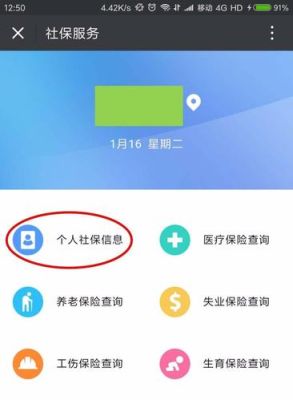 四川人社app怎么查询个人的明细？成都市单位社保明细怎么导出来-图1