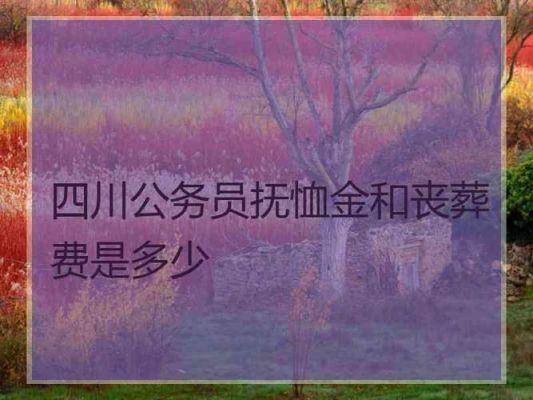 参公人员丧葬费是40个月吗？黑龙江参公事业单位的抚恤金-图3