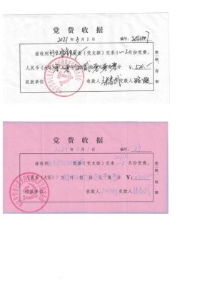 企业党员交党费到企业帐户，再转到地方党镇委会如果做凭证？行政单位往来专户会计凭证-图2