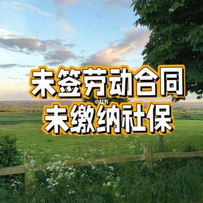 公司8年没给员工签劳动合同，也没卖社保，该怎么维权？起诉原单位不交养老保险-图3