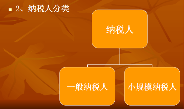 一般纳税人企业的财务负责人承担什么法律责任？事业单位财务负责人负什么责任-图2