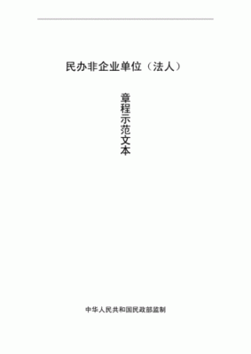 什么是直接登记的民办非企业单位？民办非企业单位适用法律规定-图3